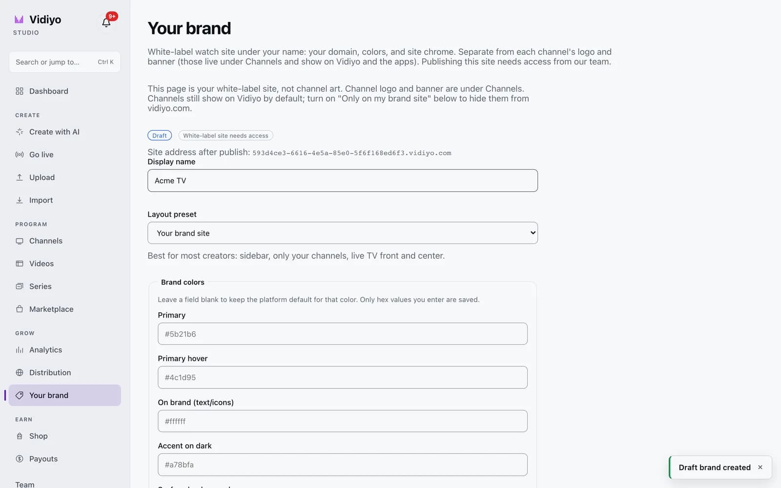 The Your brand page after creating a draft, showing the Draft badge, the site address after publish, the Display name and Layout preset fields, and the first Brand colors inputs.