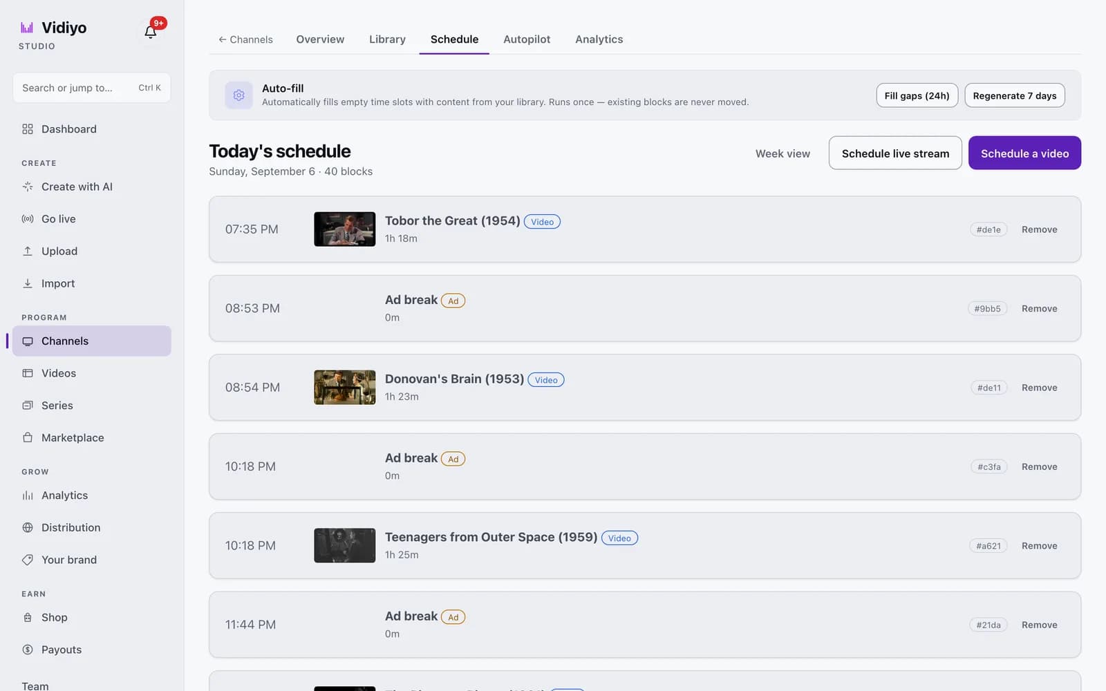 Today's schedule in List view: rows for each block with start time, thumbnail, title, Video or Ad badge, duration, and a Remove button